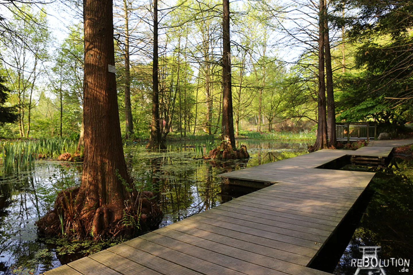Der Botanische Garten ist zu jeder Jahreszeit ein tolles Ausflugsziel.

#rebolution #bochum #botanischergartenbochum